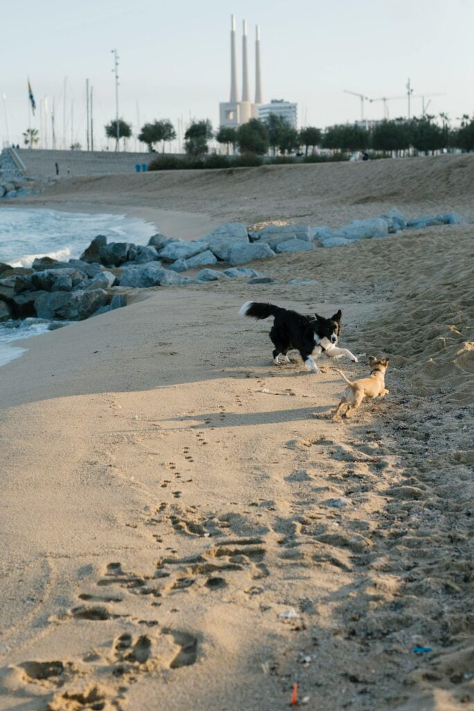 Most Instagrammable Spots In The Caribbean For Winter Most Instagrammable Spots In The Caribbean For Winter