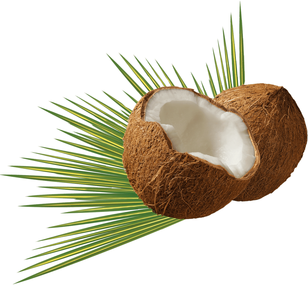 Ultimate Checklist For A Stress-Free Adults Only All Inclusive Caribbean Vacation