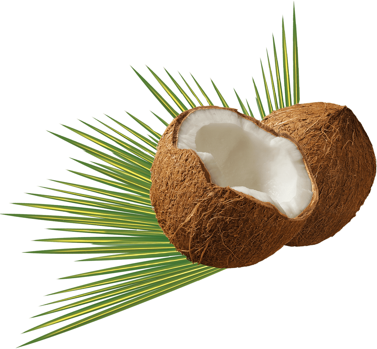 Expert Tips For Planning An Unforgettable Adults Only All Inclusive Vacation In The Caribbean Expert Tips For Planning An Unforgettable Adults Only All Inclusive Vacation In The Caribbean